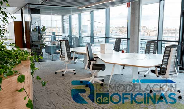 Remodelación de Oficinas en ️La Reina